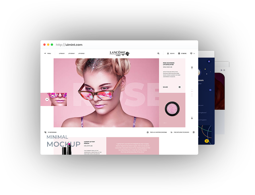 Website design and development interface showcase