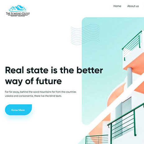 Portfolio project preview