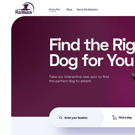 Portfolio project preview