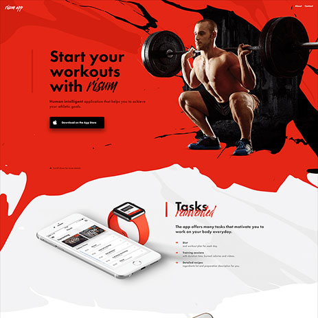 Portfolio project preview