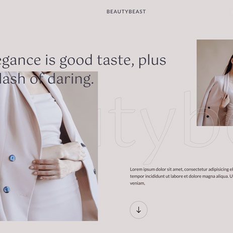 Portfolio project preview